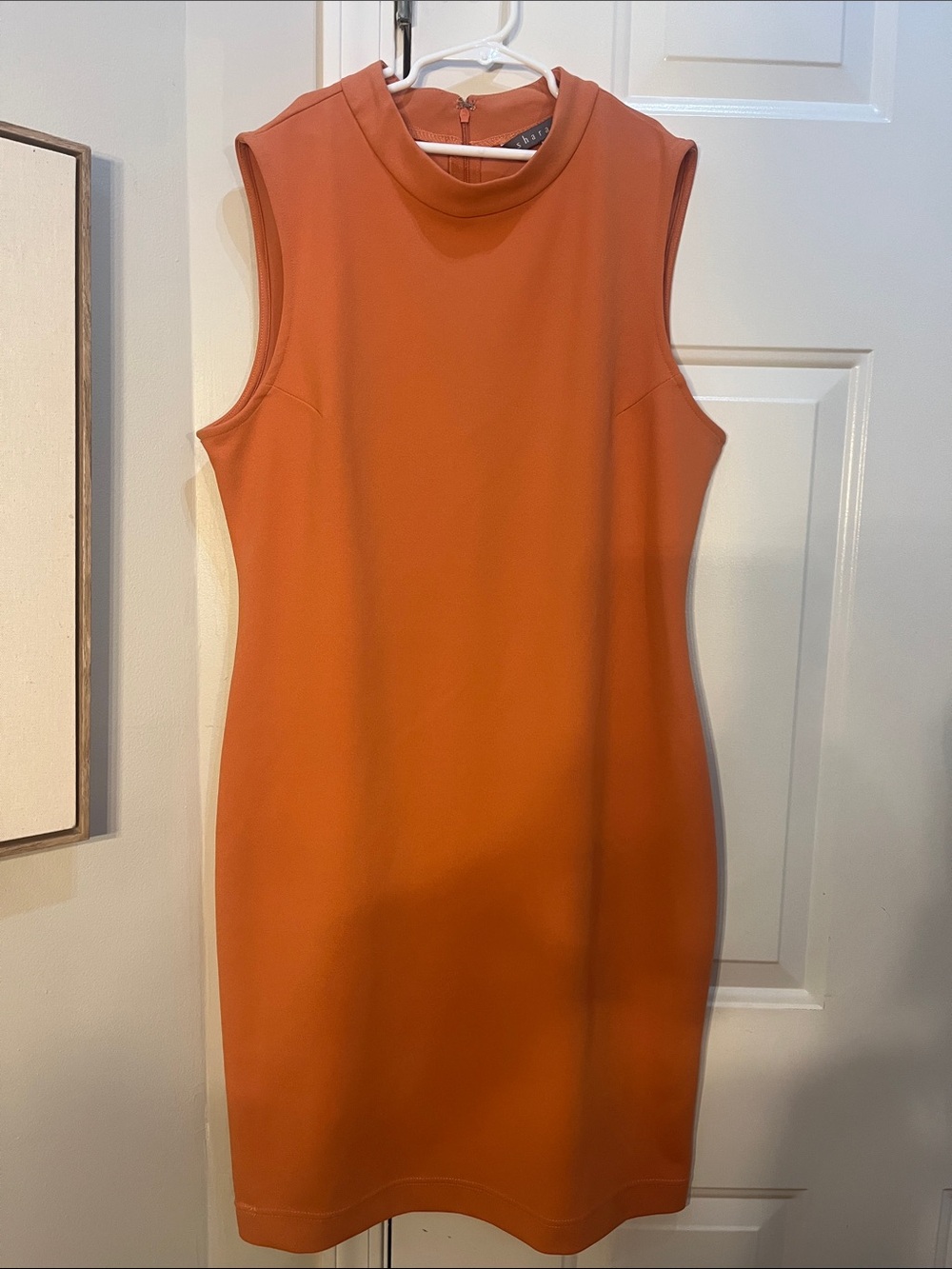 Sharagano Blush Peach Sleeveless Shift Dress